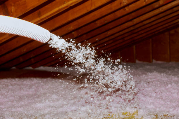 Best Insulation Installation Services in Pollock Pines, CA