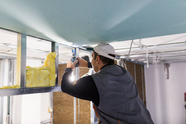 Best Residential Insulation in Pollock Pines, CA